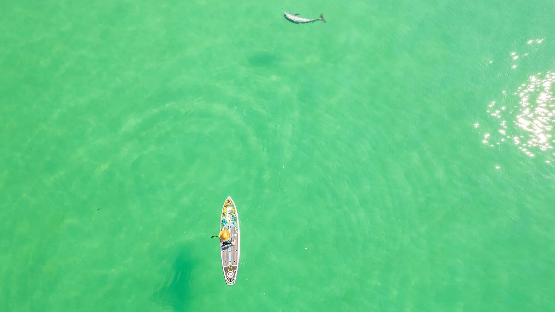 Sandpiper Cove 3202- By Holiday Isle Properties Destin 0*,  United States