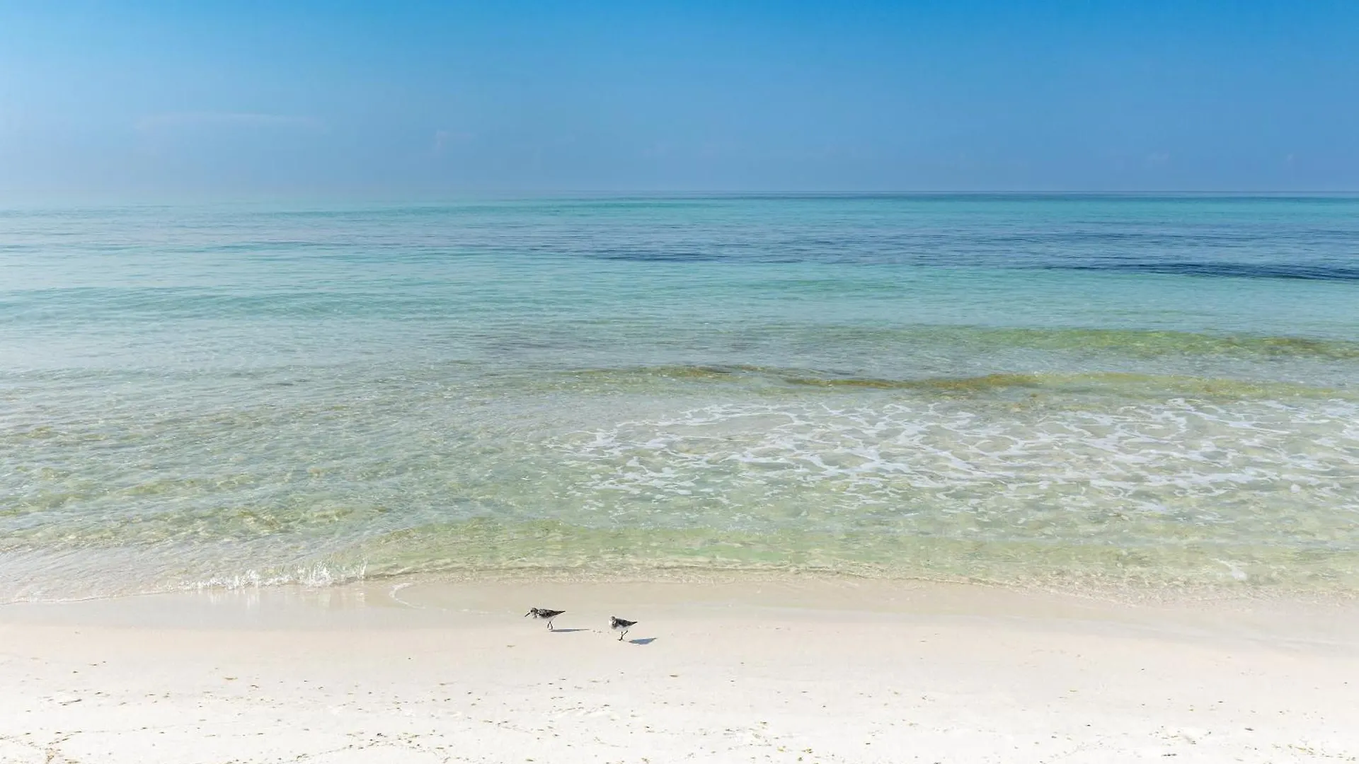 Sandpiper Cove 3202- By Holiday Isle Properties Destin 0*,  United States